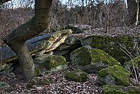 Bernhard Saalfeld - DSC05286 -1.jpg